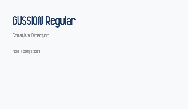 GUSSION Regular Business Card