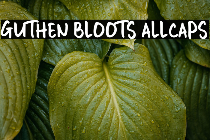 GUTHEN BLOOTS ALLCAPS Example 1