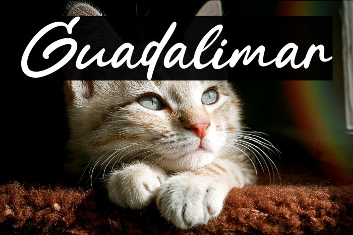 Guadalimar Example 1