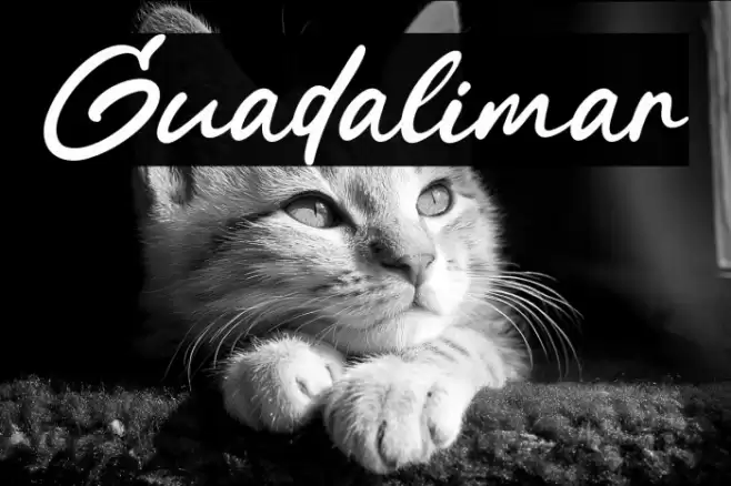 Guadalimar Schriftart examples