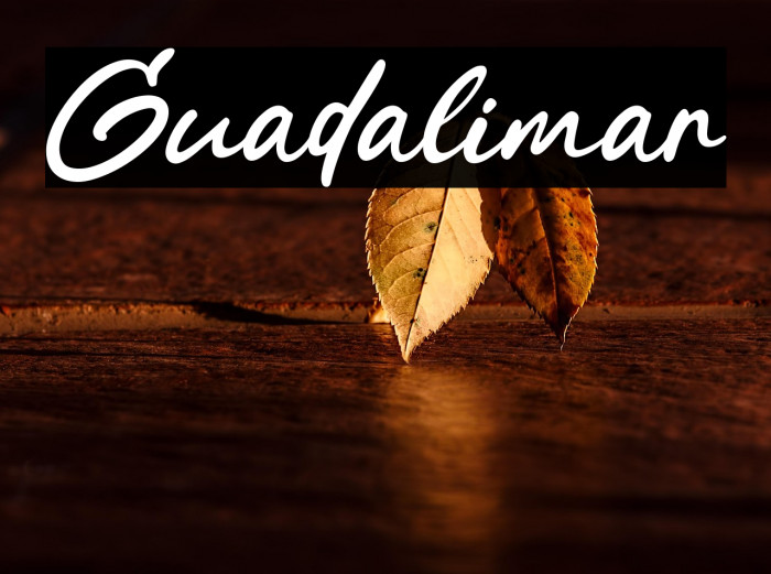 Guadalimar Example 3