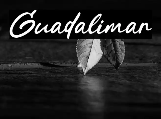 Guadalimar Schriftart examples