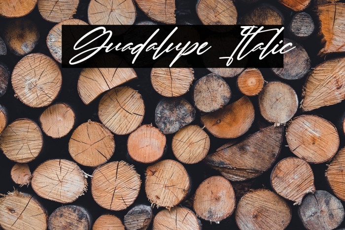Guadalupe Italic Example 1