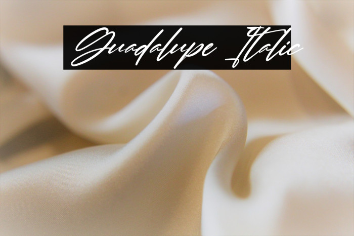 Guadalupe Italic Example 2