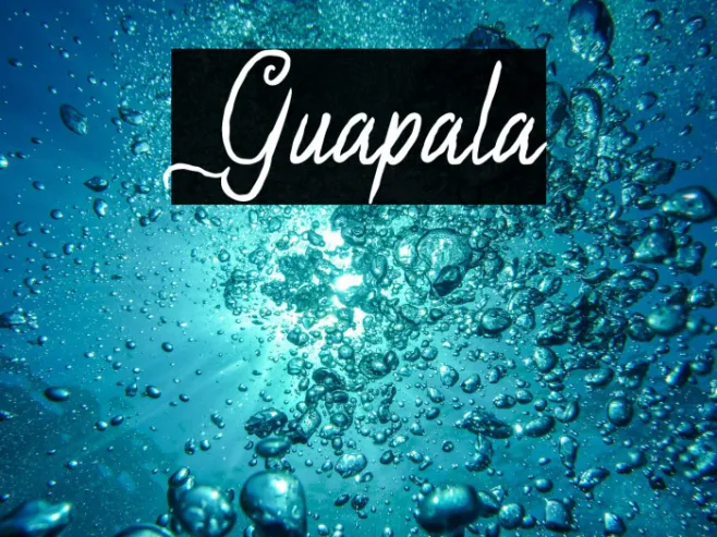 Guapala Example 3