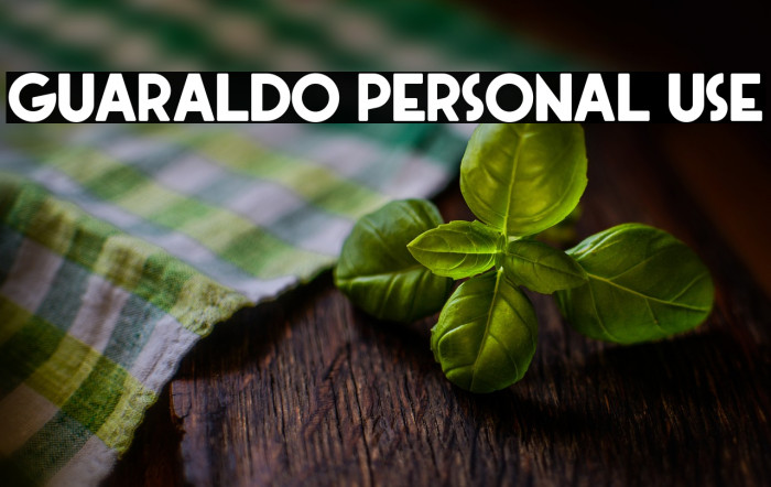 Guaraldo Personal Use Example 1
