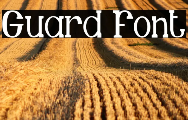 Guard Example 3