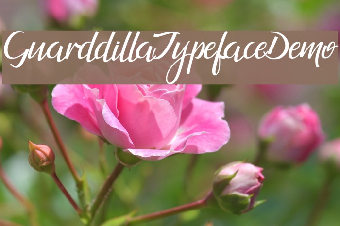 GuarddillaTypefaceDemo Font examples