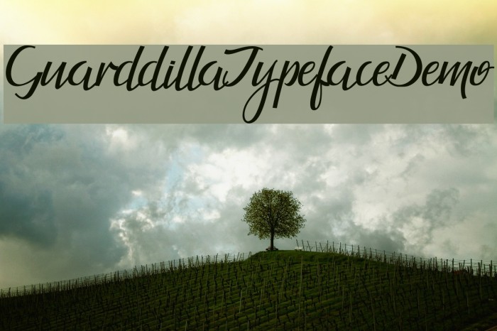GuarddillaTypefaceDemo Font examples