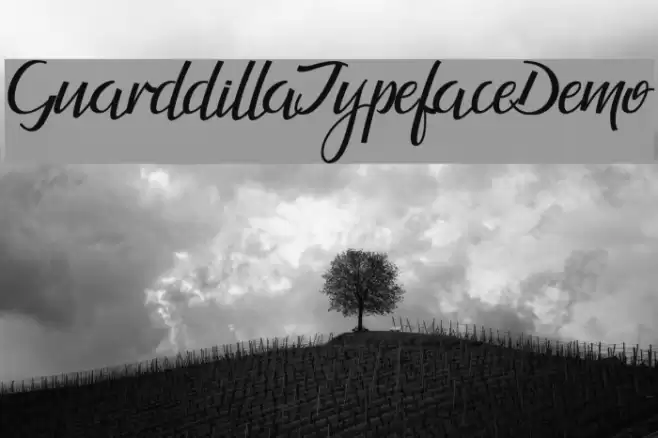 GuarddillaTypefaceDemo Font examples