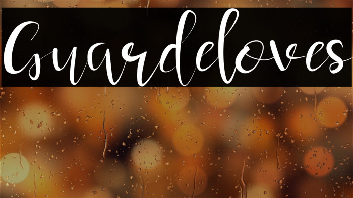 Guardeloves Example 2