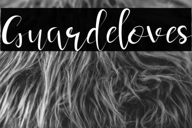 Guardeloves Font examples