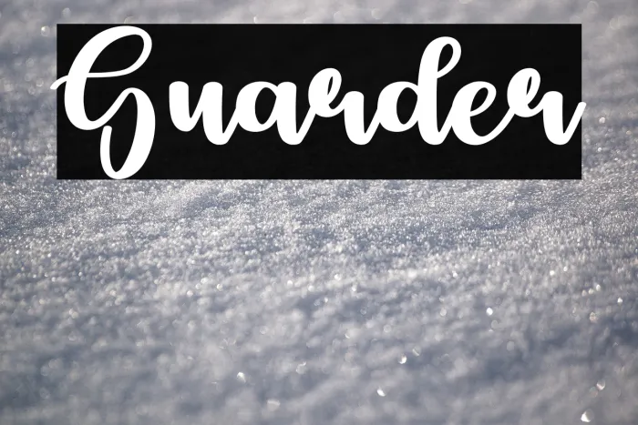 Guarder Example 1