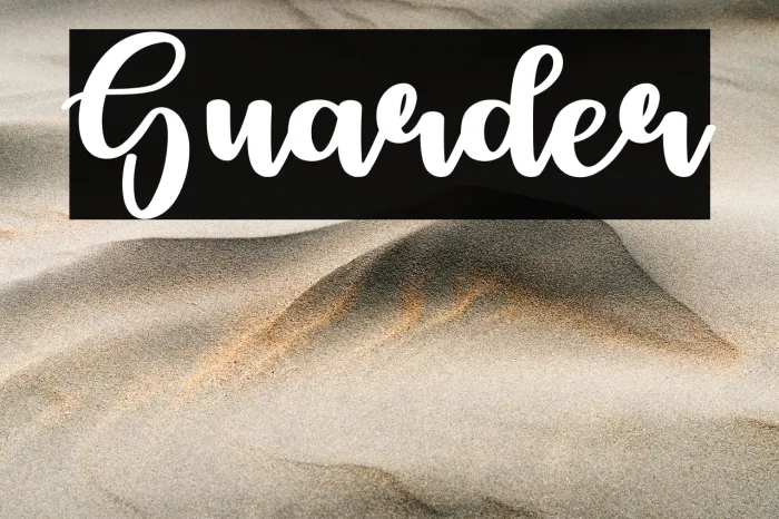 Guarder Example 3