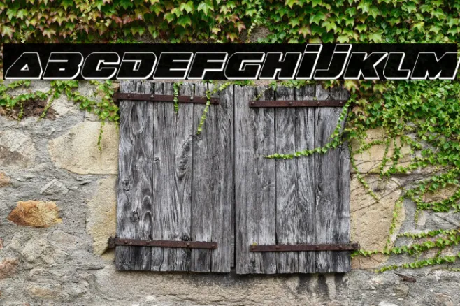 Guardian 3D Italic Example 3