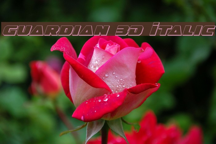 Guardian 3D Italic Font examples