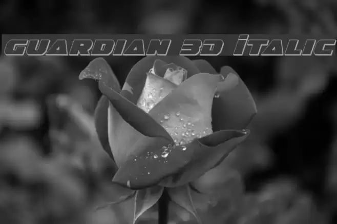 Guardian 3D Italic  examples