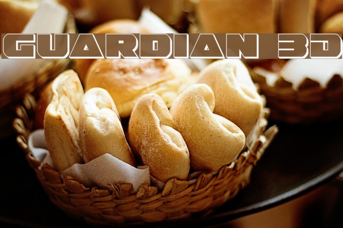 Guardian 3D Polices examples