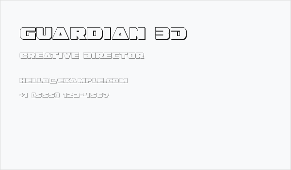 Guardian 3D Business Card