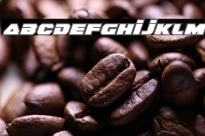 Guardian Academy Italic Example 2