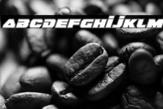 Guardian Academy Italic Font examples