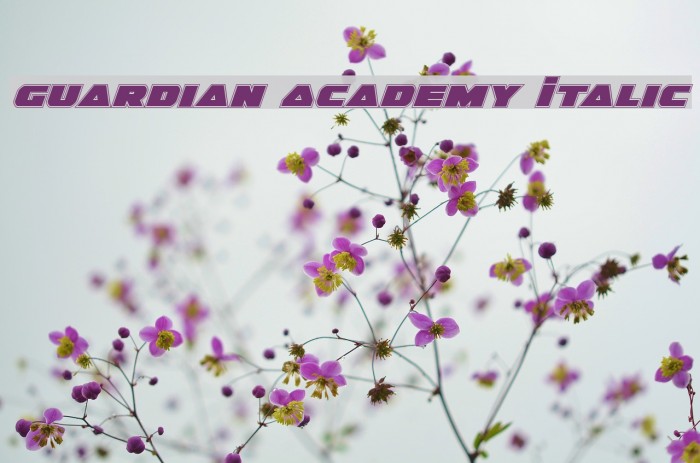 Guardian Academy Italic Font examples