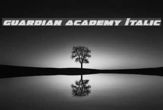 Guardian Academy Italic Font examples
