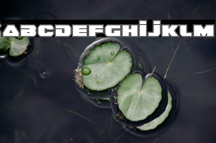 Guardian Academy Example 1