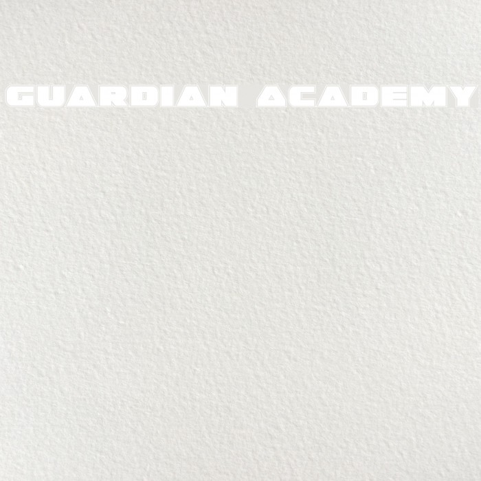 Guardian Academy Font examples