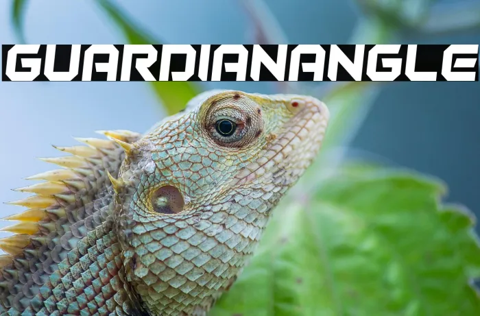 Guardian Angle Example 1