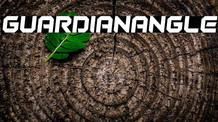 Guardian Angle Example 2