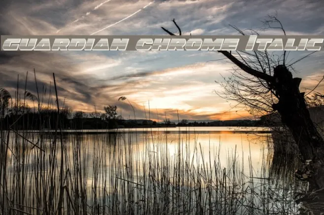 Guardian Chrome Italic Example 3