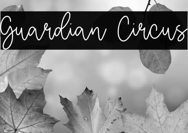 Guardian Circus Fonte examples
