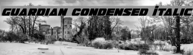 Guardian Condensed Italic Font examples