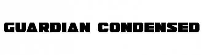 Guardian Condensed 