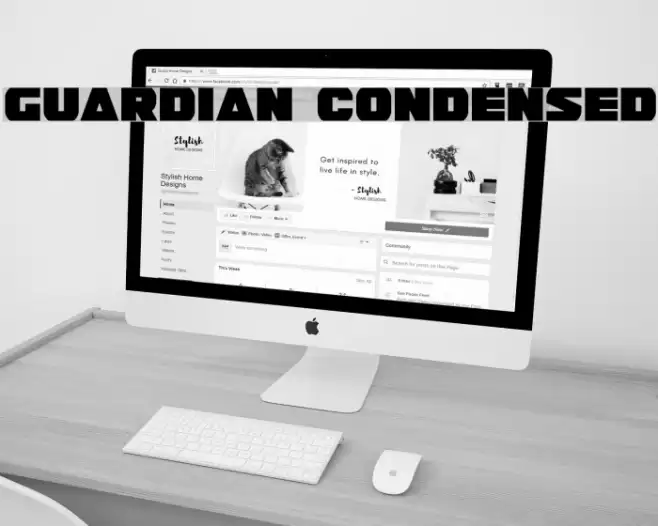 Guardian Condensed Font examples