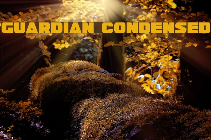 Guardian Condensed Font examples