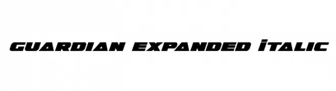 Guardian Expanded Italic 