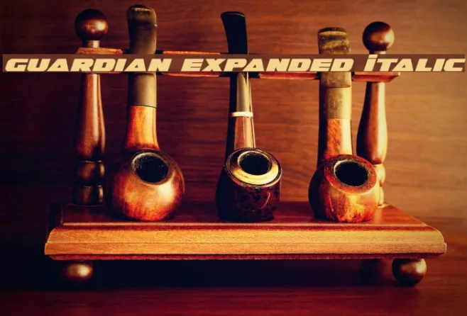 Guardian Expanded Italic Example 1