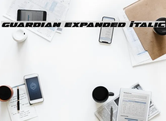 Guardian Expanded Italic Example 2