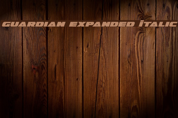 Guardian Expanded Italic Font examples
