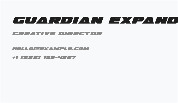 Guardian Expanded Italic Business Card