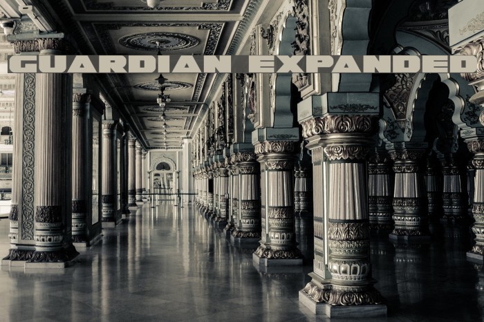 Guardian Expanded Font examples