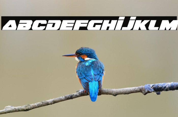 Guardian Italic Example 2