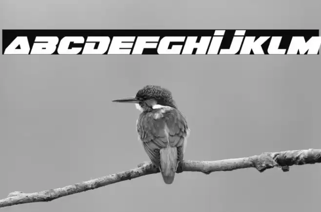 Guardian Italic Font examples