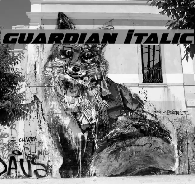 Guardian Italic Font examples