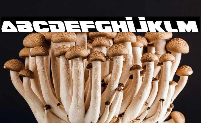 Guardian Leftalic Example 3