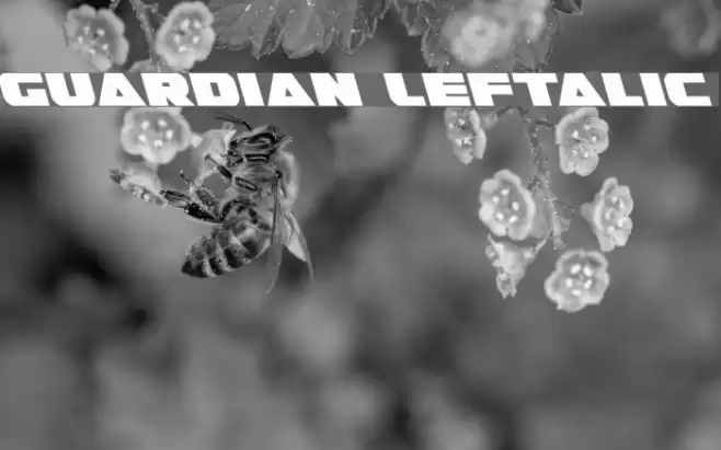 Guardian Leftalic Font examples