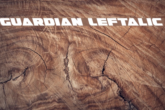 Guardian Leftalic Font examples