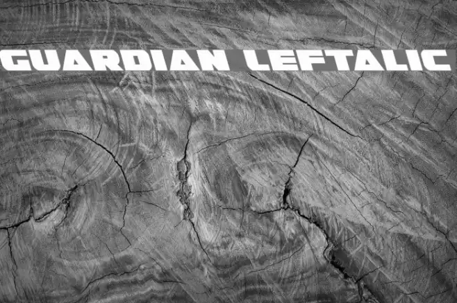 Guardian Leftalic Font examples